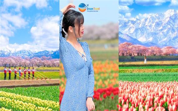 Tour Nhật Bản Cung Đường Romantic - Bộ Tứ Mùa Xuân